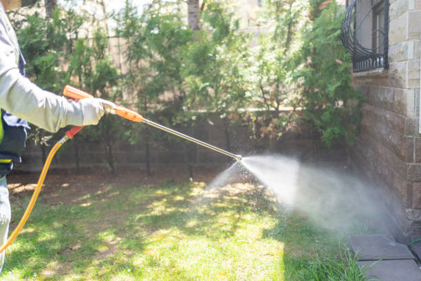 Best Mosquito Control Services  in Franklinville, NC